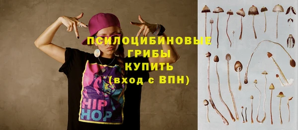 мяу мяу кристалл Переславль-Залесский