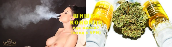 mix Пересвет