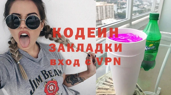 хмурый Пестово