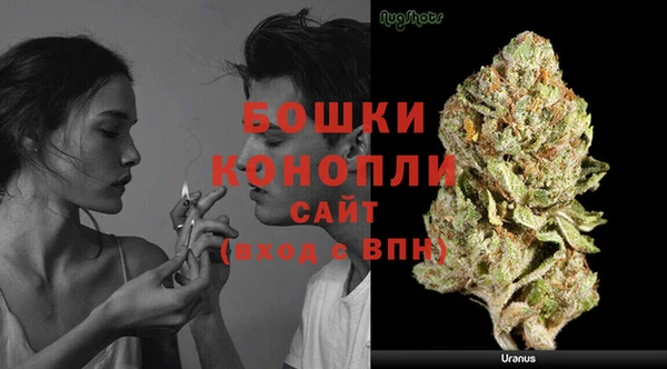 мяу мяу кристалл Переславль-Залесский