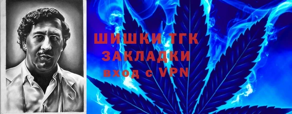 мяу мяу кристалл Переславль-Залесский
