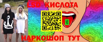 стафф Гатчина