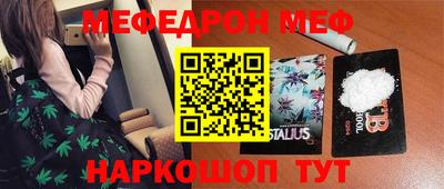 стафф Гатчина