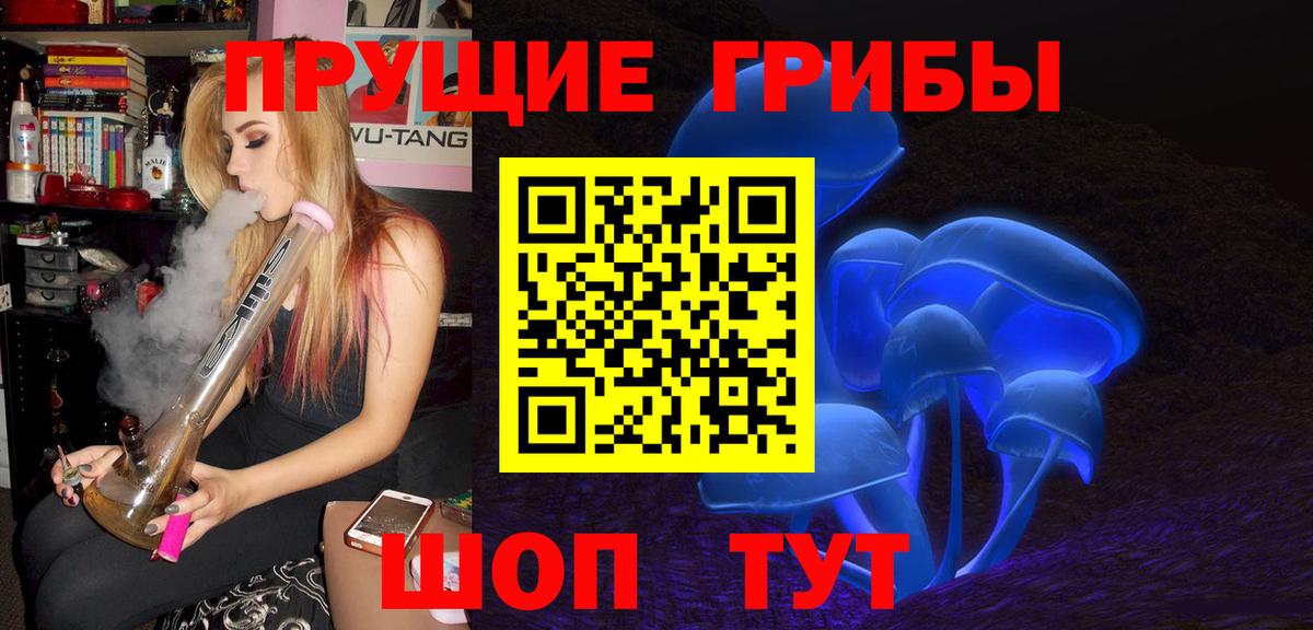 Псилоцибиновые грибы Psilocybe  Арсеньев  Галлюциногенные грибы Psilocybine cubensis 