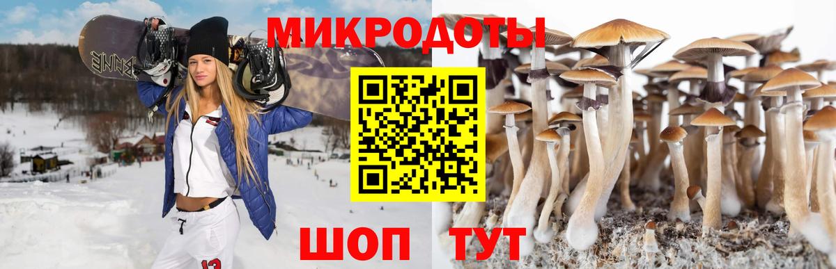 Галлюциногенные грибы Magic Shrooms Арсеньев